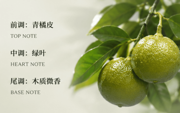 Green-skinned tangerine - Image 4